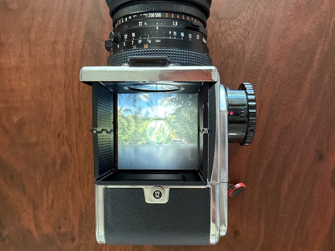 Hasselblad 500 C/M with the waist-level finder open, seen from above