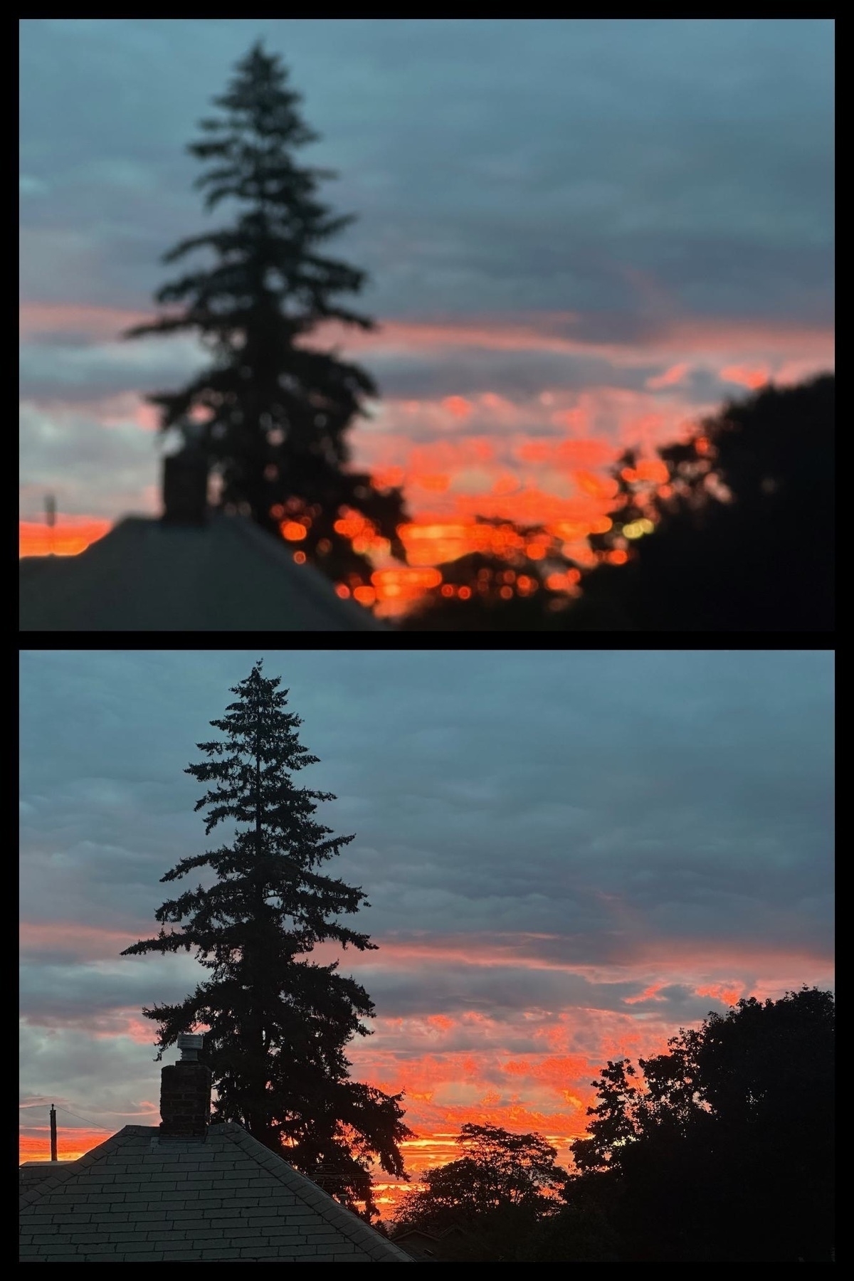 A diptych of photos of a sunrise with lots of shades of red, blue and gray with a silhouette of trees and houses in the foreground. One image is blurry while the other is sharp.