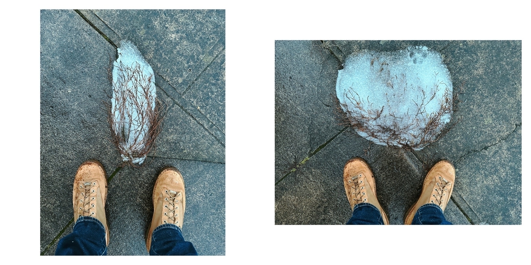 A diptych with each photo looking down at shoes on a sidewalk. In front of the shoes are thin branches of some weed holding on to snowy ice.