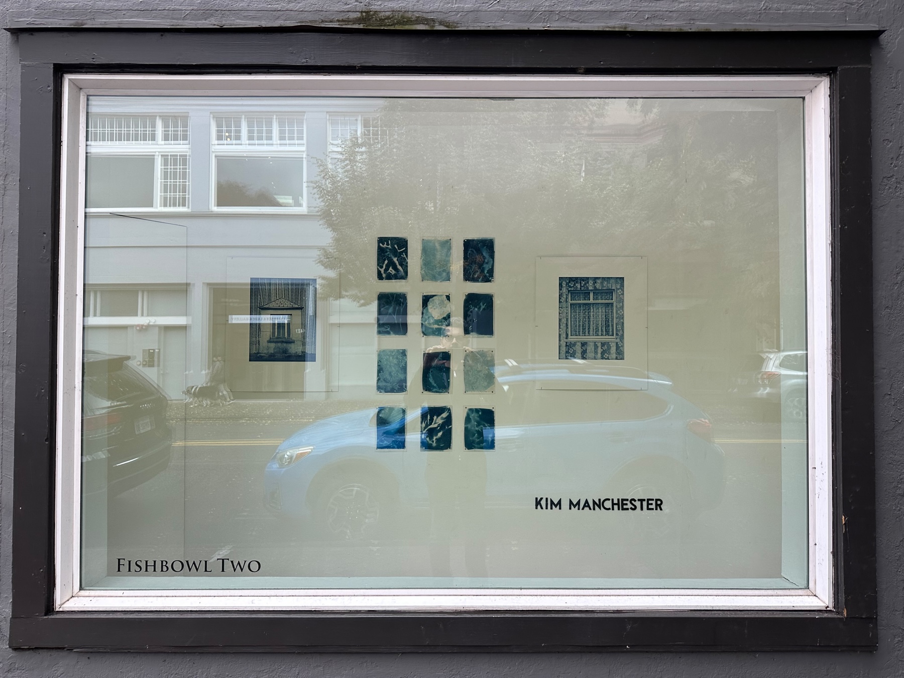 A gallery window with several cyanotype prints mounted on a wall.