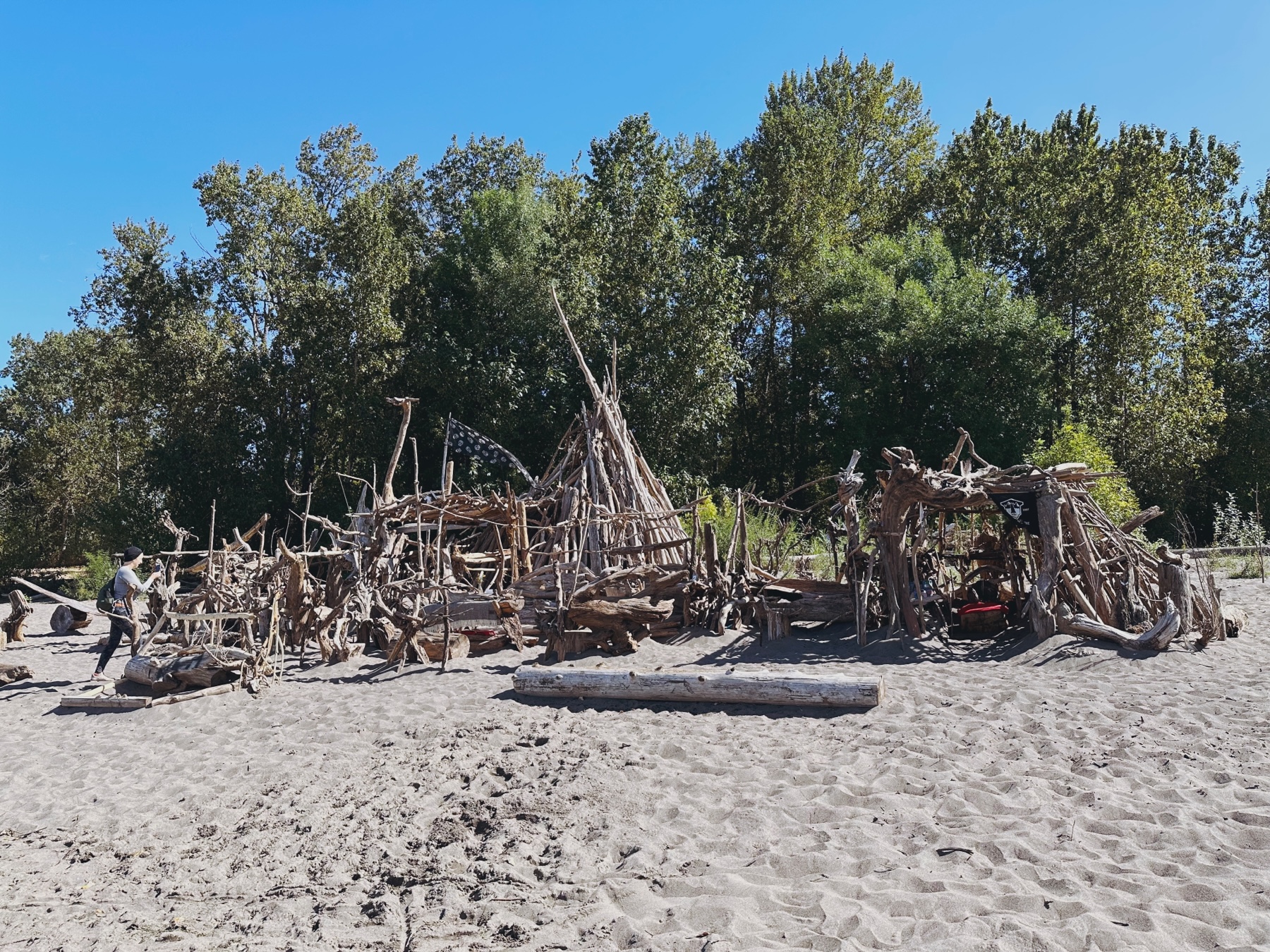 An elaborate fort made of driftwood on the sandy beach with trees behind.