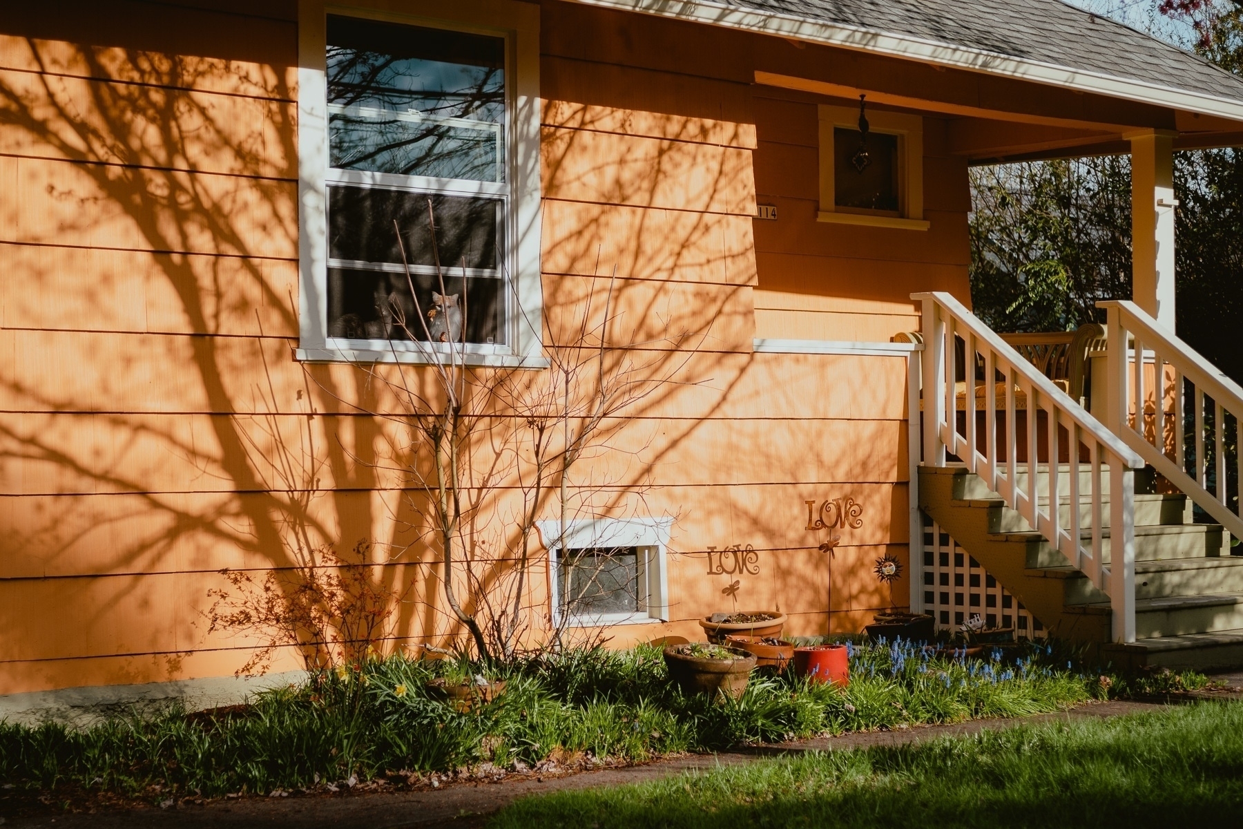 Sidewalk view of a bright orange house with the shadow of tree branches. On a window sit two cats looking at the camera. Two signs on the lawn in front say “Love”.
